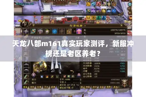 天龙八部m161真实玩家测评，新服冲榜还是老区养老？