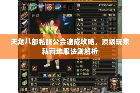 天龙八部私服公会速成攻略,顶级玩家私藏选服法则解析 天龙八部私服公会速成攻略,顶级玩家私藏选服法则解析