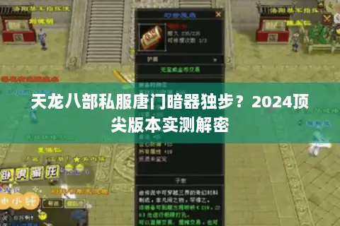 天龙八部私服唐门暗器独步？2024顶尖版本实测解密