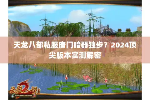 天龙八部私服唐门暗器独步？2024顶尖版本实测解密