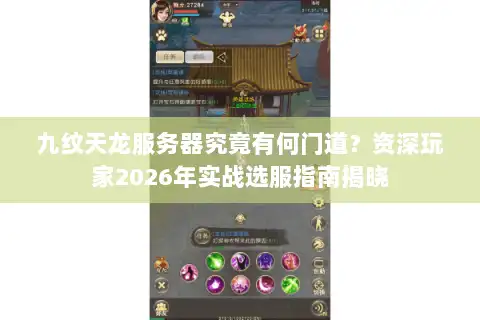 九纹天龙服务器究竟有何门道？资深玩家2026年实战选服指南揭晓