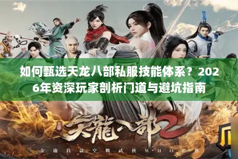 如何甄选天龙八部私服技能体系？2026年资深玩家剖析门道与避坑指南