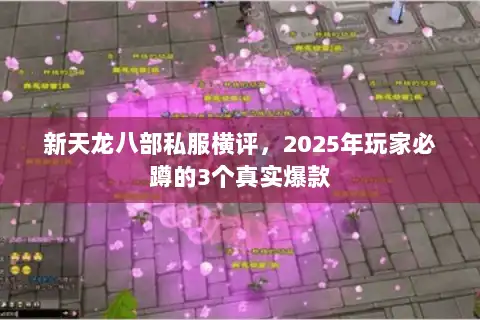新天龙八部私服横评，2025年玩家必蹲的3个真实爆款
