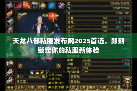天龙八部私服发布网2025首选，即刻锁定你的私服新体验