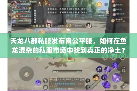 天龙八部私服发布网公平服，如何在鱼龙混杂的私服市场中找到真正的净土？