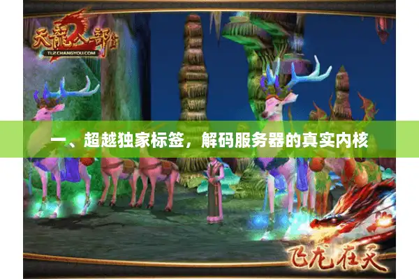 一、超越独家标签，解码服务器的真实内核