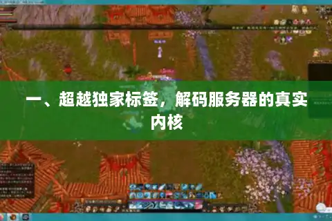 一、超越独家标签，解码服务器的真实内核