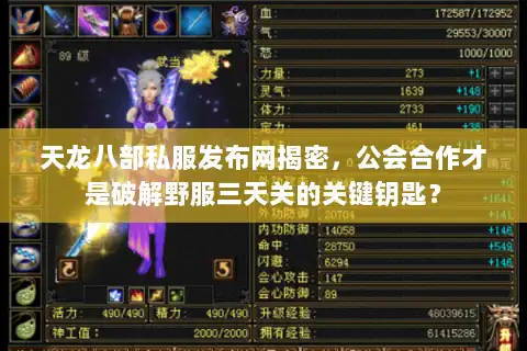 天龙八部私服发布网揭密，公会合作才是破解野服三天关的关键钥匙？