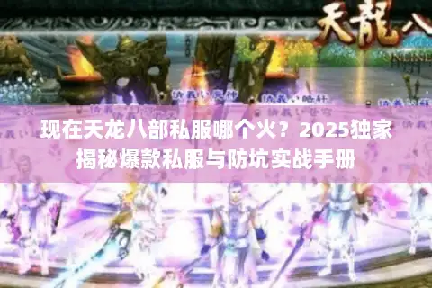 现在天龙八部私服哪个火？2025独家揭秘爆款私服与防坑实战手册