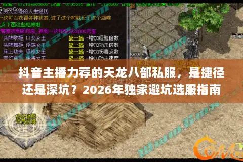 抖音主播力荐的天龙八部私服，是捷径还是深坑？2026年独家避坑选服指南
