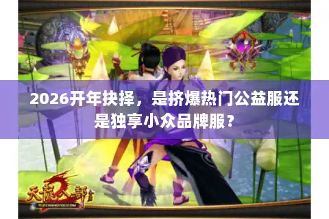 2026开年抉择,是挤爆热门公益服还是独享小众品牌服? 2026开年抉择,是挤爆热门公益服还是独享小众品牌服?