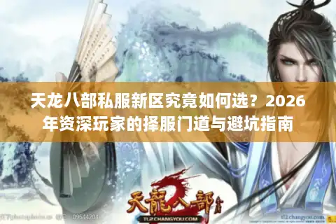 天龙八部私服新区究竟如何选？2026年资深玩家的择服门道与避坑指南
