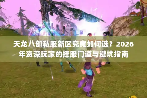 天龙八部私服新区究竟如何选？2026年资深玩家的择服门道与避坑指南
