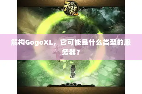 解构GogoXL，它可能是什么类型的服务器？