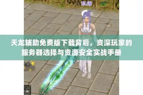 天龙辅助免费版下载背后，资深玩家的服务器选择与资源安全实战手册