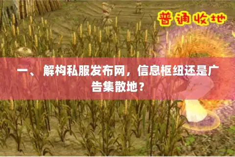 一、 解构私服发布网，信息枢纽还是广告集散地？