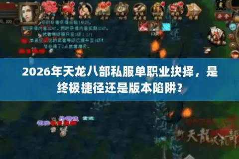 2026年天龙八部私服单职业抉择，是终极捷径还是版本陷阱？
