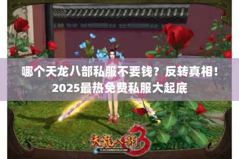 哪个天龙八部私服不要钱？反转真相！2025最热免费私服大起底