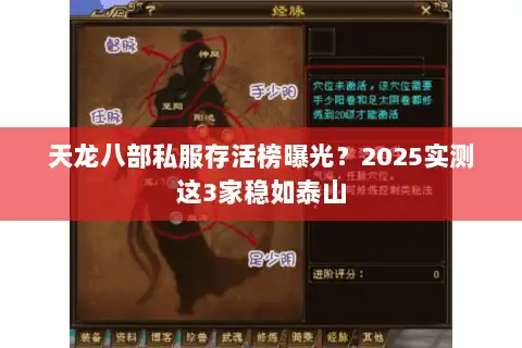 天龙八部私服存活榜曝光？2025实测这3家稳如泰山