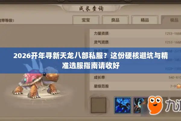 2026开年寻新天龙八部私服？这份硬核避坑与精准选服指南请收好