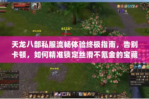 天龙八部私服流畅体验终极指南，告别卡顿，如何精准锁定丝滑不氪金的宝藏服务器？