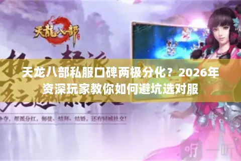 天龙八部私服口碑两极分化？2026年资深玩家教你如何避坑选对服