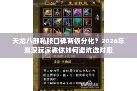 天龙八部私服口碑两极分化？2026年资深玩家教你如何避坑选对服