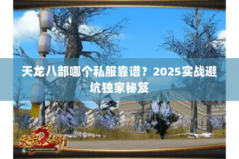 天龙八部哪个私服靠谱?2025实战避坑独家秘笈 天龙八部哪个私服靠谱?2025实战避坑独家秘笈