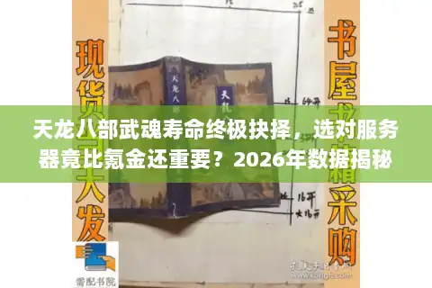 天龙八部武魂寿命终极抉择，选对服务器竟比氪金还重要？2026年数据揭秘