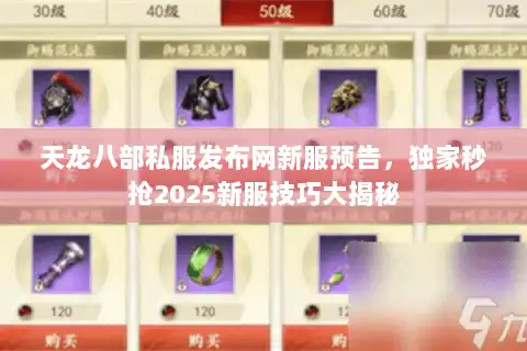 天龙八部私服发布网新服预告，独家秒抢2025新服技巧大揭秘
