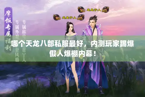 哪个天龙八部私服最好,内测玩家踢爆假人爆棚内幕! 哪个天龙八部私服最好,内测玩家踢爆假人爆棚内幕!