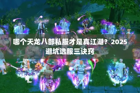 哪个天龙八部私服才是真江湖?2025避坑选服三诀窍 哪个天龙八部私服才是真江湖?2025避坑选服三诀窍