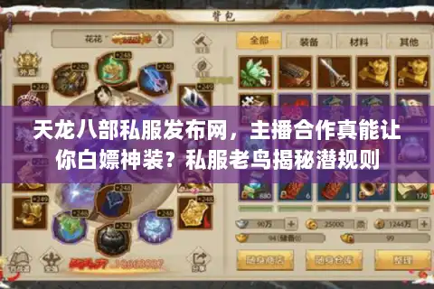 天龙八部私服发布网，主播合作真能让你白嫖神装？私服老鸟揭秘潜规则