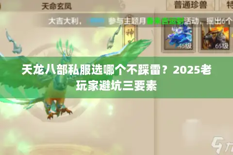 天龙八部私服选哪个不踩雷？2025老玩家避坑三要素