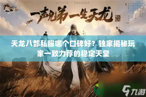 天龙八部私服哪个口碑好？独家揭秘玩家一致力荐的稳定天堂