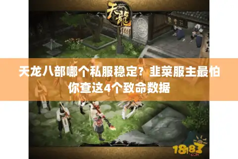 天龙八部哪个私服稳定？韭菜服主最怕你查这4个致命数据