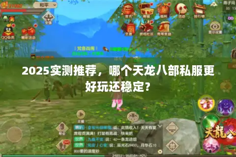 2025实测推荐，哪个天龙八部私服更好玩还稳定？