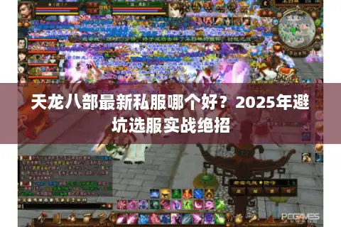 天龙八部最新私服哪个好？2025年避坑选服实战绝招