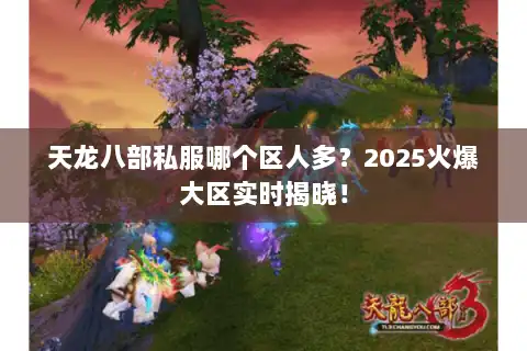 天龙八部私服哪个区人多？2025火爆大区实时揭晓！