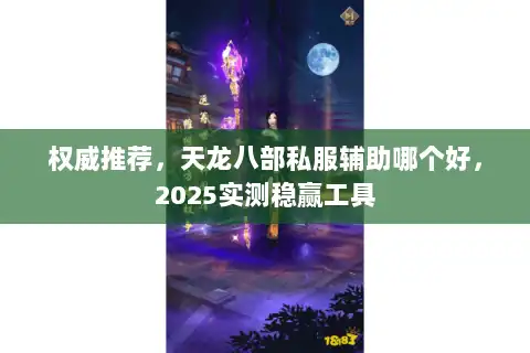 权威推荐，天龙八部私服辅助哪个好，2025实测稳赢工具