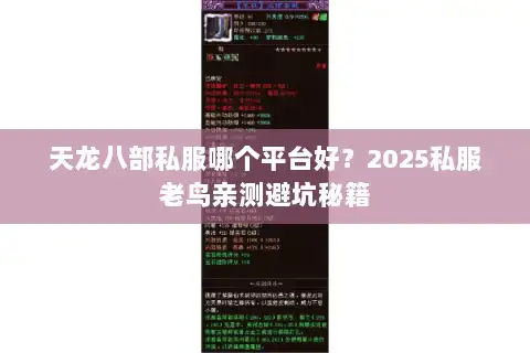 天龙八部私服哪个平台好？2025私服老鸟亲测避坑秘籍