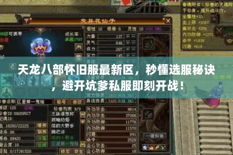 天龙八部怀旧服最新区，秒懂选服秘诀，避开坑爹私服即刻开战！