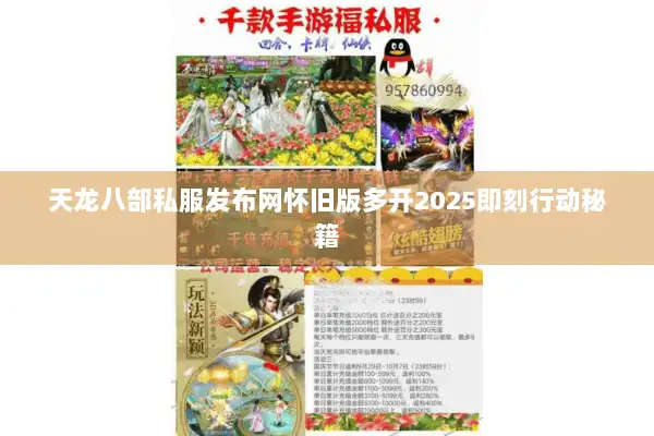 天龙八部私服发布网怀旧版多开2025即刻行动秘籍