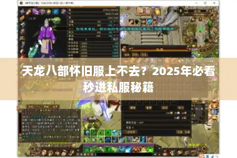 天龙八部怀旧服上不去?2025年必看秒进私服秘籍 天龙八部怀旧服上不去?2025年必看秒进私服秘籍