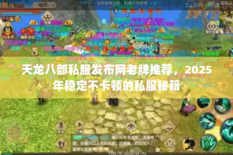 天龙八部私服发布网老牌推荐，2025年稳定不卡顿的私服秘籍
