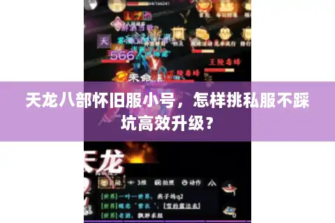 天龙八部怀旧服小号，怎样挑私服不踩坑高效升级？