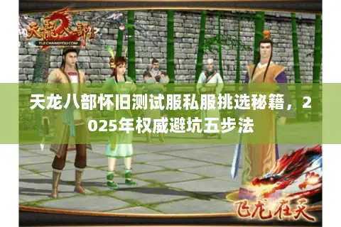 天龙八部怀旧测试服私服挑选秘籍，2025年权威避坑五步法