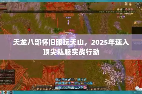 天龙八部怀旧服玩天山，2025年速入顶尖私服实战行动