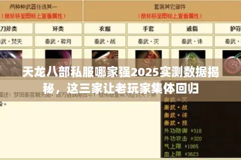 天龙八部私服哪家强2025实测数据揭秘，这三家让老玩家集体回归