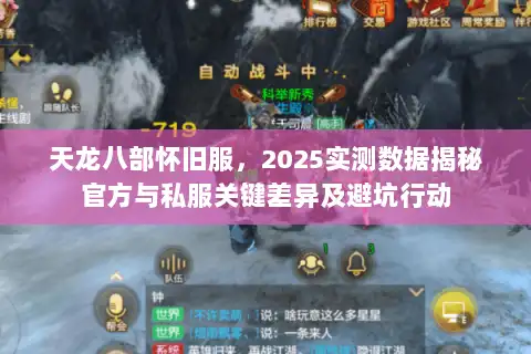 天龙八部怀旧服,2025实测数据揭秘官方与私服关键差异及避坑行动 天龙八部怀旧服,2025实测数据揭秘官方与私服关键差异及避坑行动